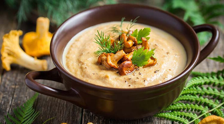 Soupe de champignons chanterelles
